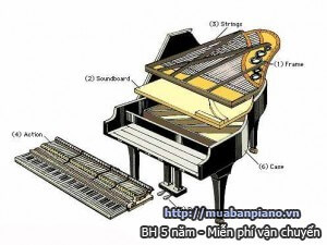 cau-tao-dan-piano-2