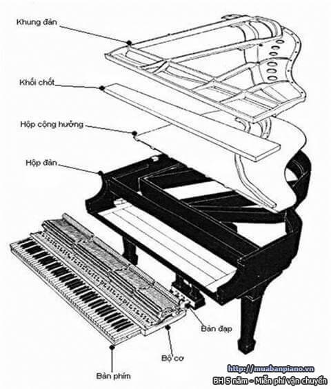 Piano cơ thông minh The ONE S26  Harmony Music