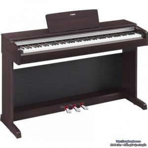 Dan-Piano-Arius-Yamaha-YDP-142R-02-800x800