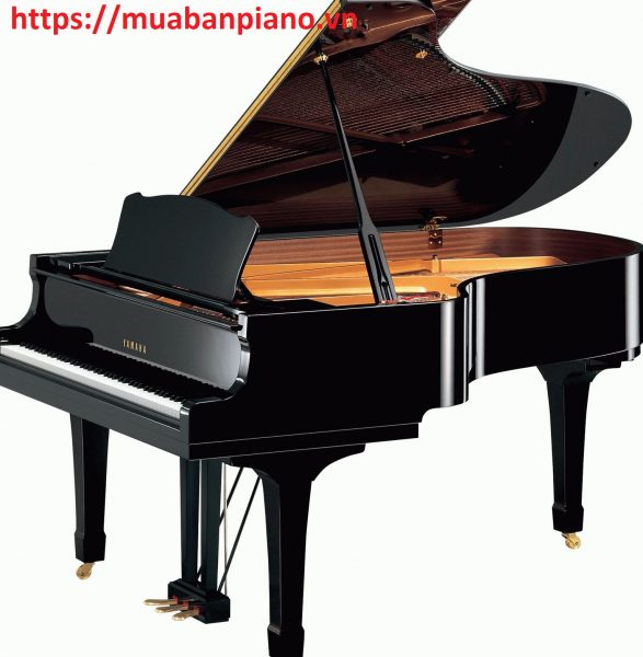 Đàn Piano Cơ là lựa chọn số 1 của người yêu âm nhạc