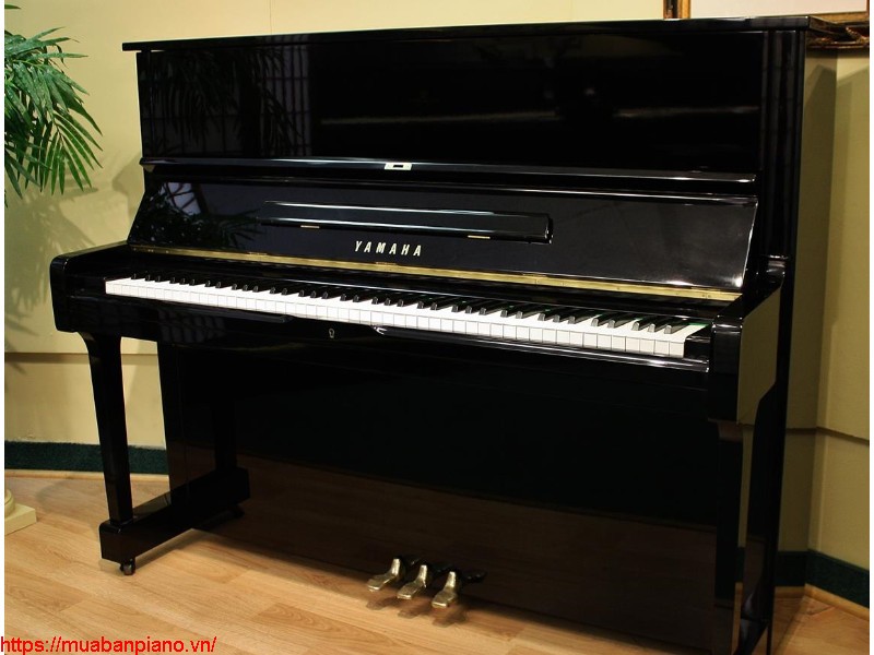 Top 10 địa chỉ bán Piano Yamaha U1H uy tín nhất Sài Thành