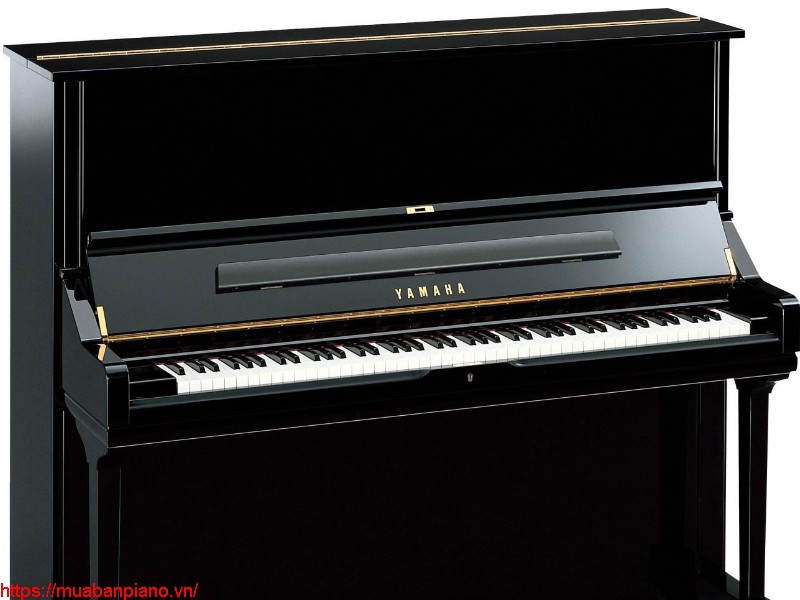 Top 10 địa chỉ bán Piano Yamaha U1H uy tín nhất Sài Thành