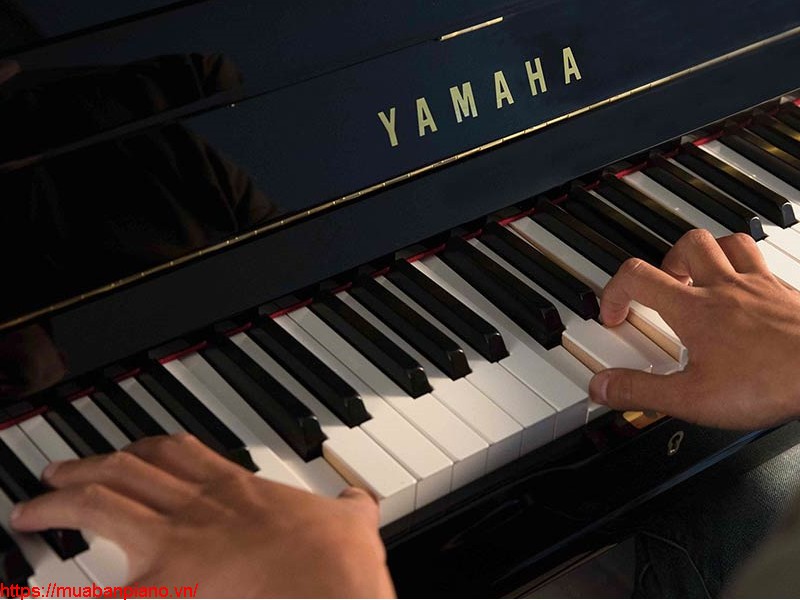 Top 10 địa chỉ mua đàn Piano Yamaha uy tín giá gốc
