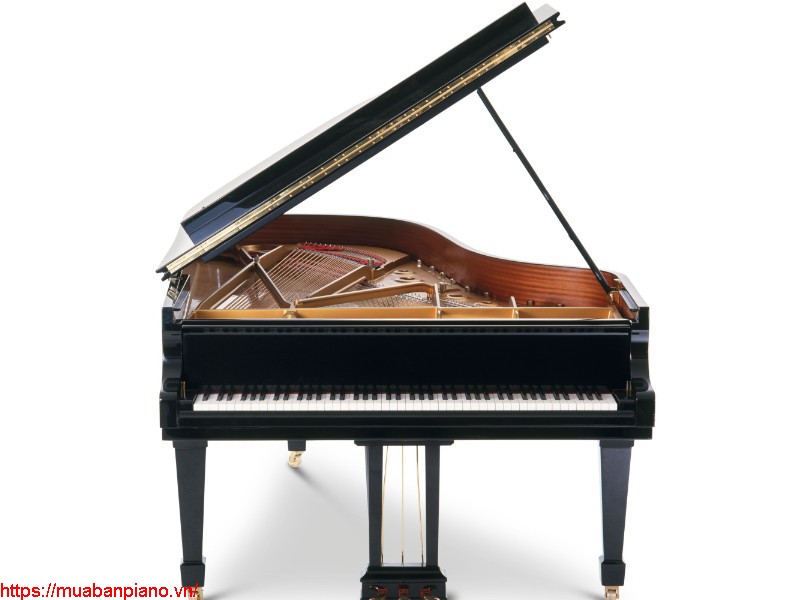 5 điểm đến uy tín nhất dành cho các tín đồ Grand Piano Yamaha