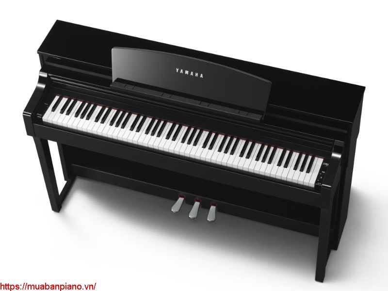 Top 5 website bán đàn Piano Yamaha với giá cực "hời"