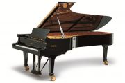 Top 3 địa chỉ bán Grand Piano giá rẻ 10đ chất lượng