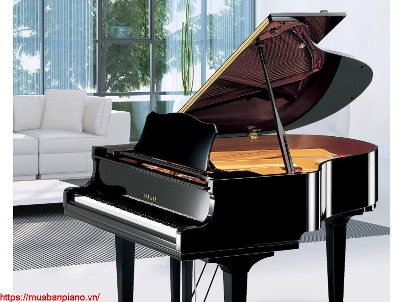 Top 5 website bán đàn Piano Yamaha với giá cực "hời"