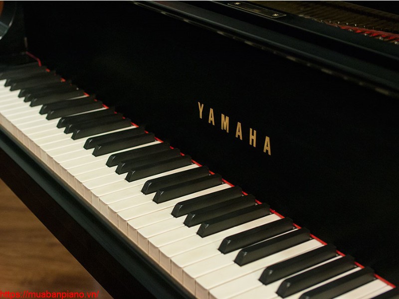 Top 10 địa chỉ uy tín bán đàn Grand Piano Yamaha tại Hà Nội