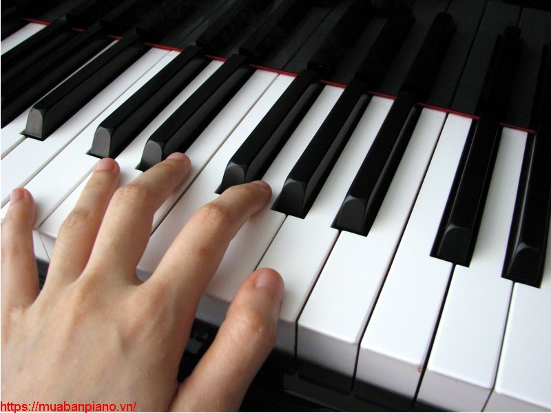 cẩm nang học đàn piano tại nhà hiệu quả