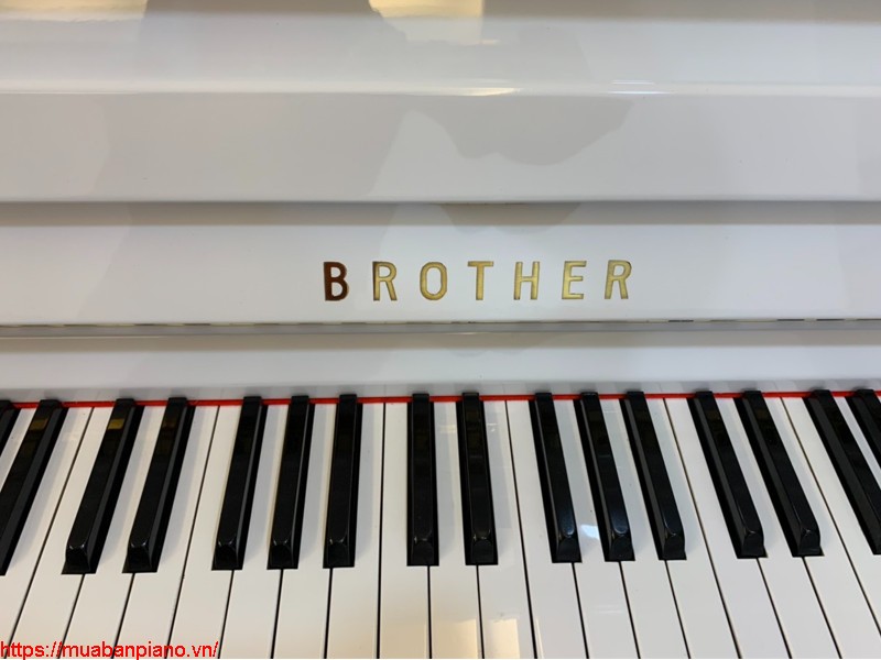 Bảng giá đàn Piano Brother mới nhất 2021