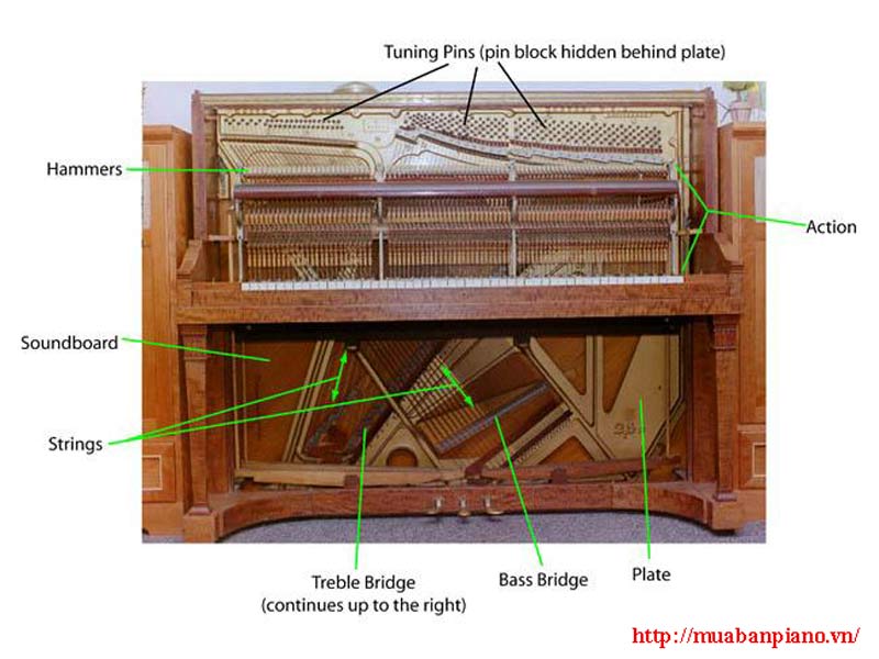 Cấu tạo đàn Upright piano