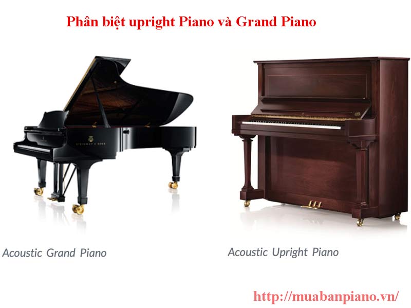 Đàn piano đứng và Grand piano